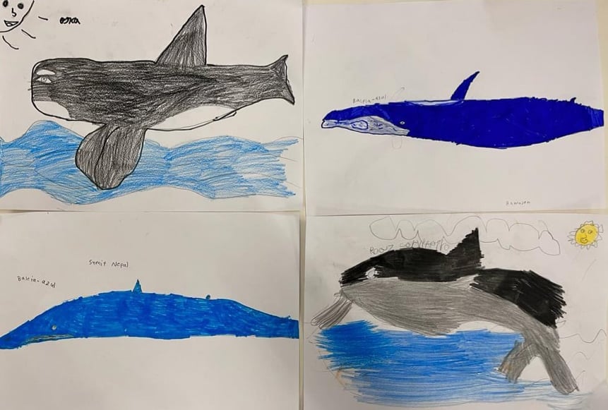 Desenhos escola EB1 Marchil