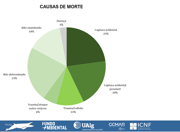 Causas de morte cetáceos