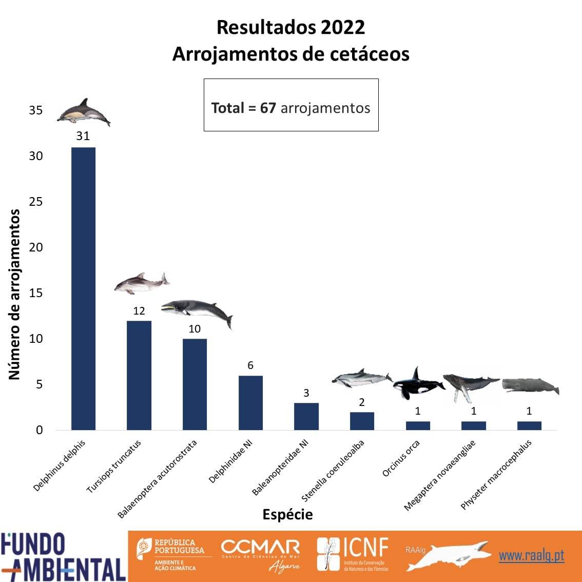 Cetáceos 2022