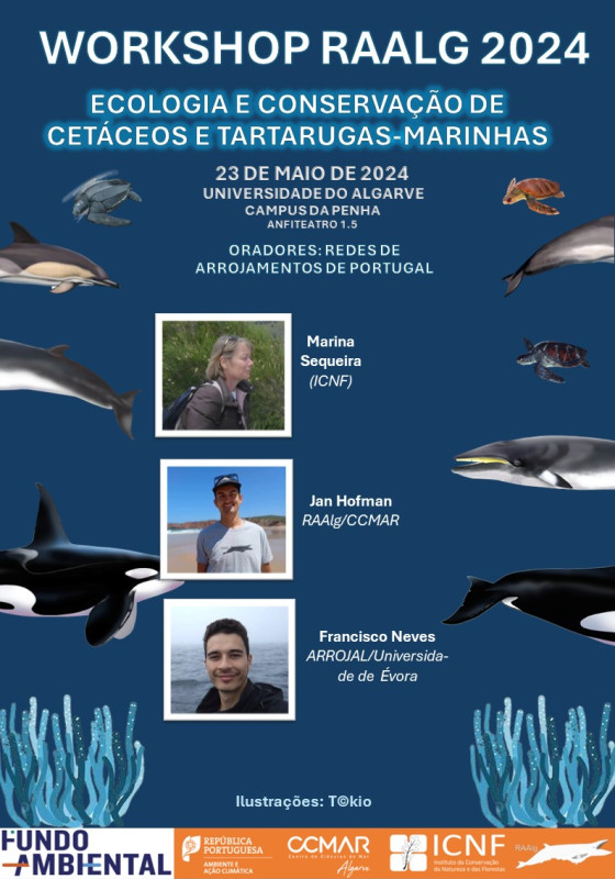 Redes de arrojamentos de Portugal