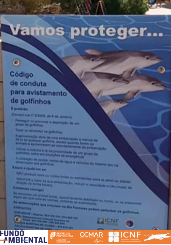 Golfinhos na ria - Campanhas de sensibilização