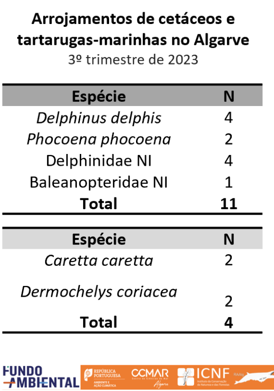 Resultados 3º trimestre