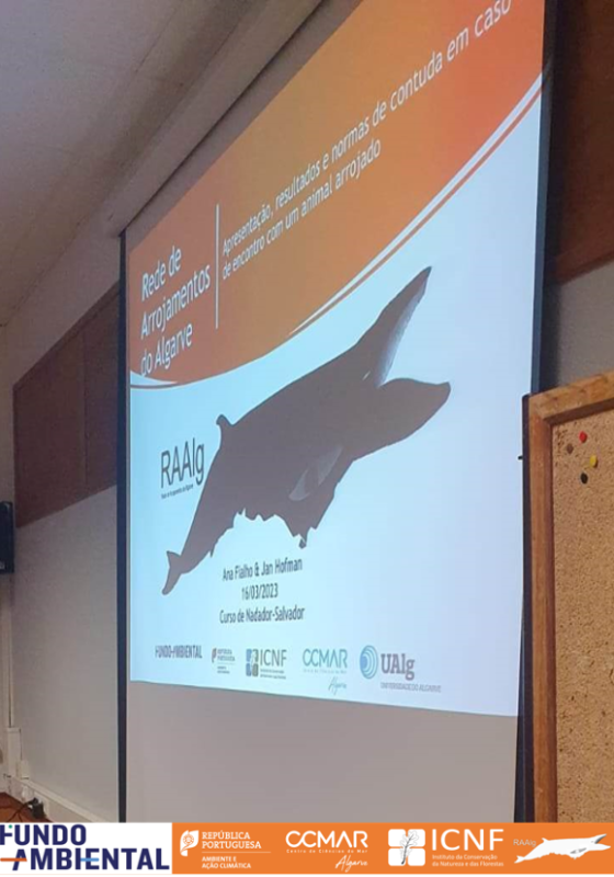 Formação nadadores-salvadores