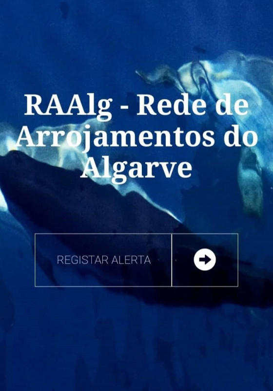 Página RAAlg.jpg