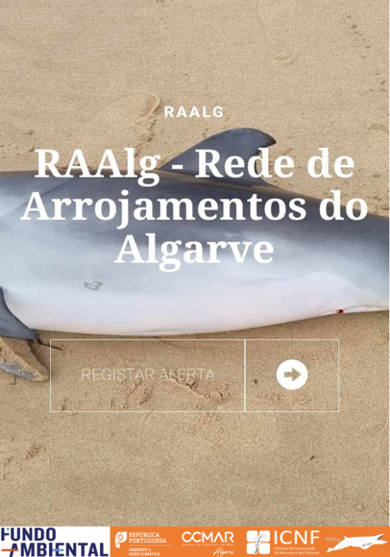Registo de alertas na página