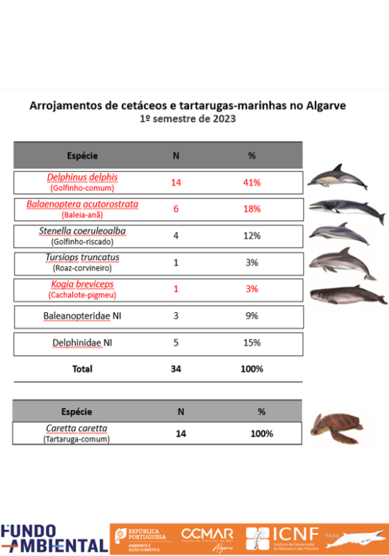 Resultados Arrojamentos 1ºsemestre 2023