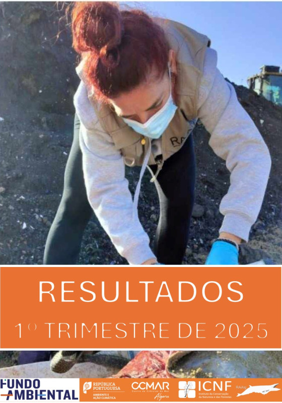 Resultados RAAlg 1º trimestre de 2025