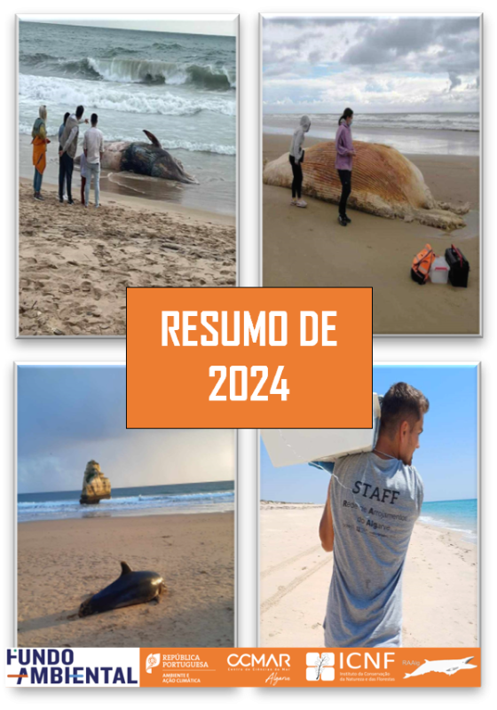 Resultados 2024